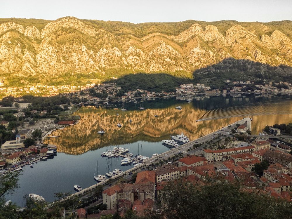 Kotor