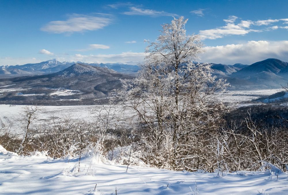 Зимняя сказка