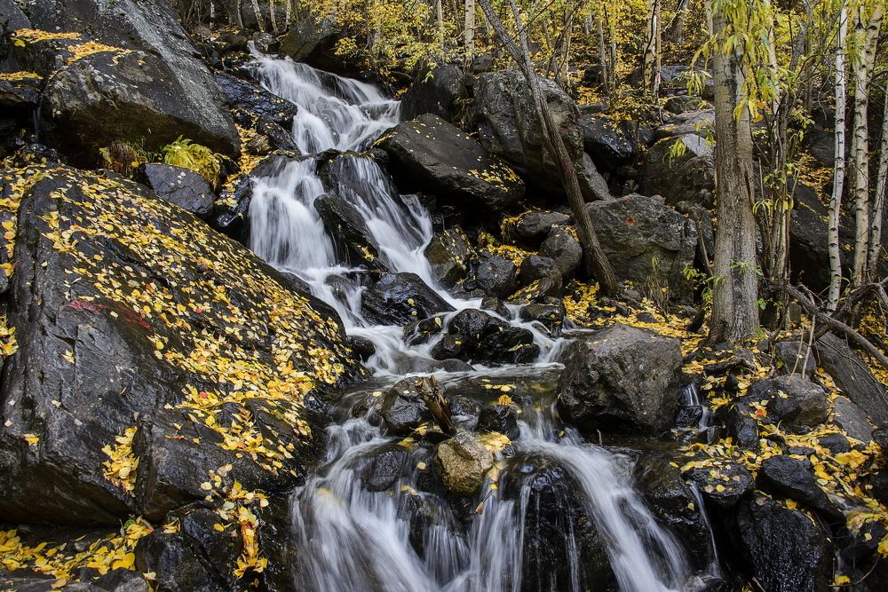 Лесной водопадик