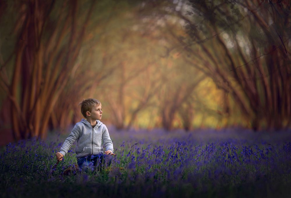 In the bluebells