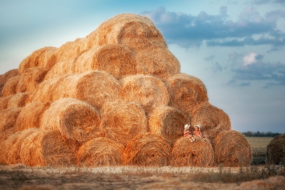 На сеновале