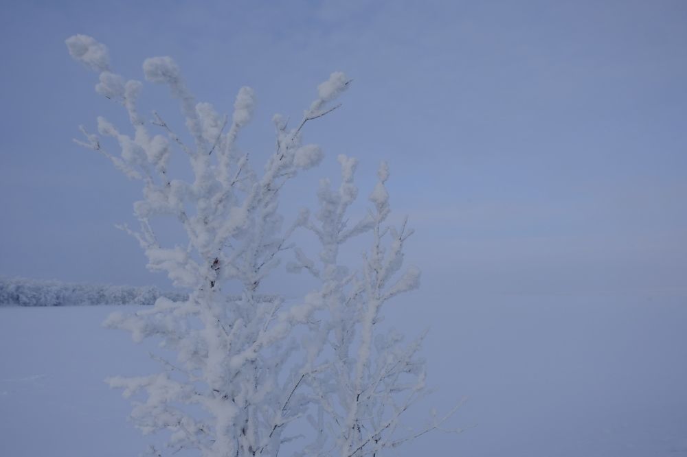 Безграничный