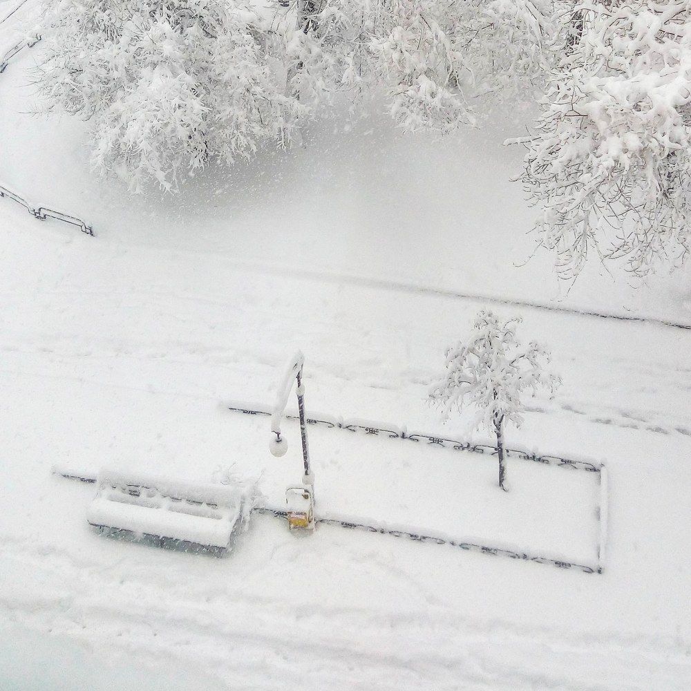 Весна в сибири