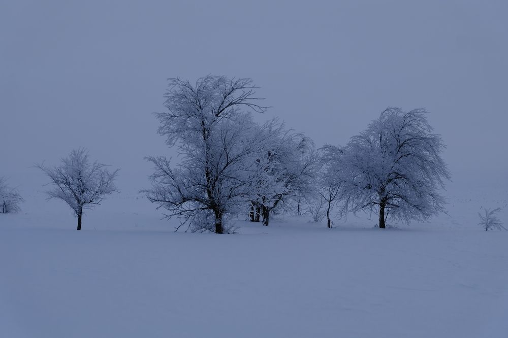 Черное и белое