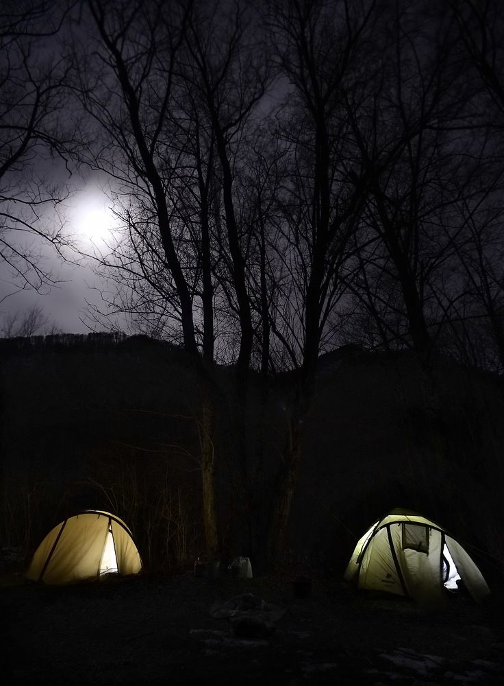 Фотография автора Медведев Сергей