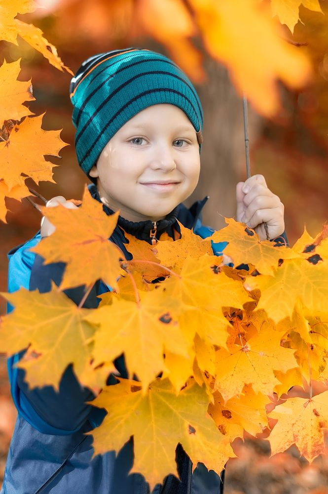 Осенние зарисовки