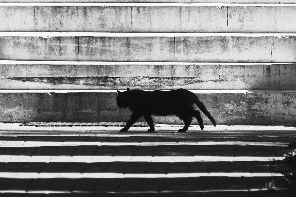 Photograph by Алексей Горшенин