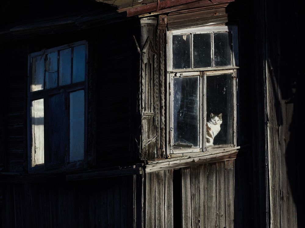 Photograph by Алексей Горшенин