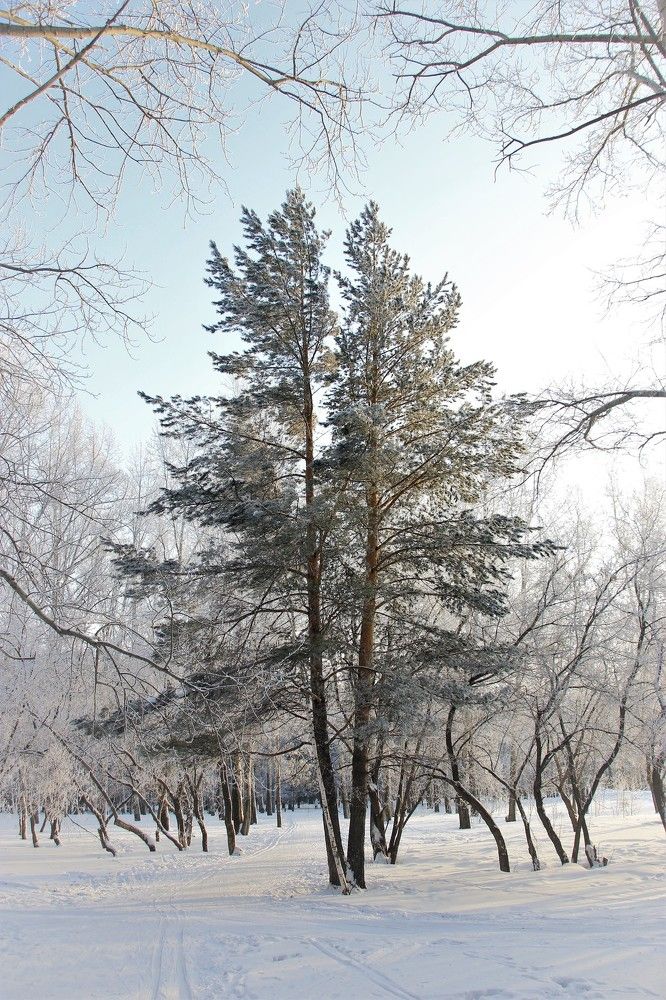 Фотография автора Александр Хохряков