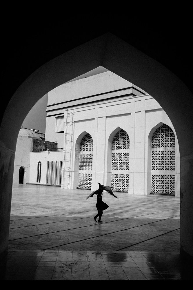 The Opposite of Lonliness