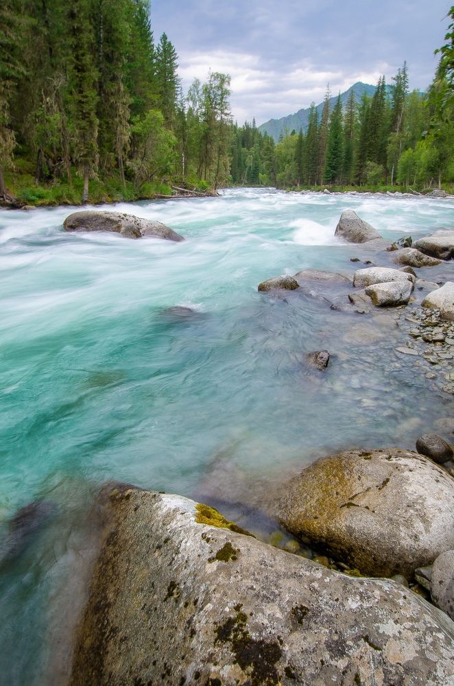 Одна из горных рек Алтая. Река Кучерла.