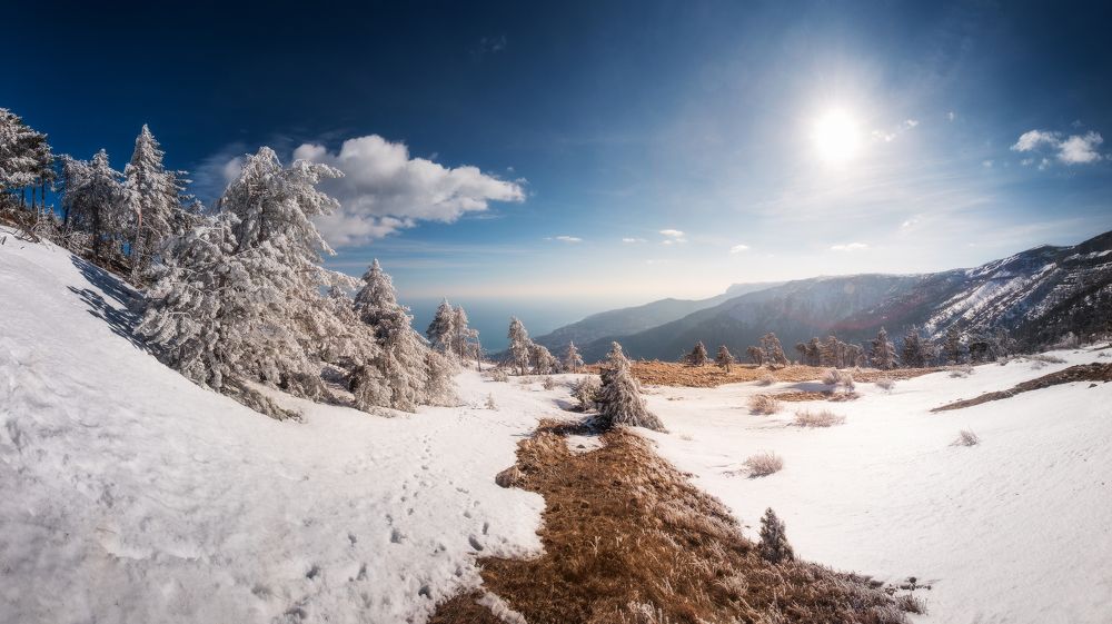 Photograph by Михаил Гапонов