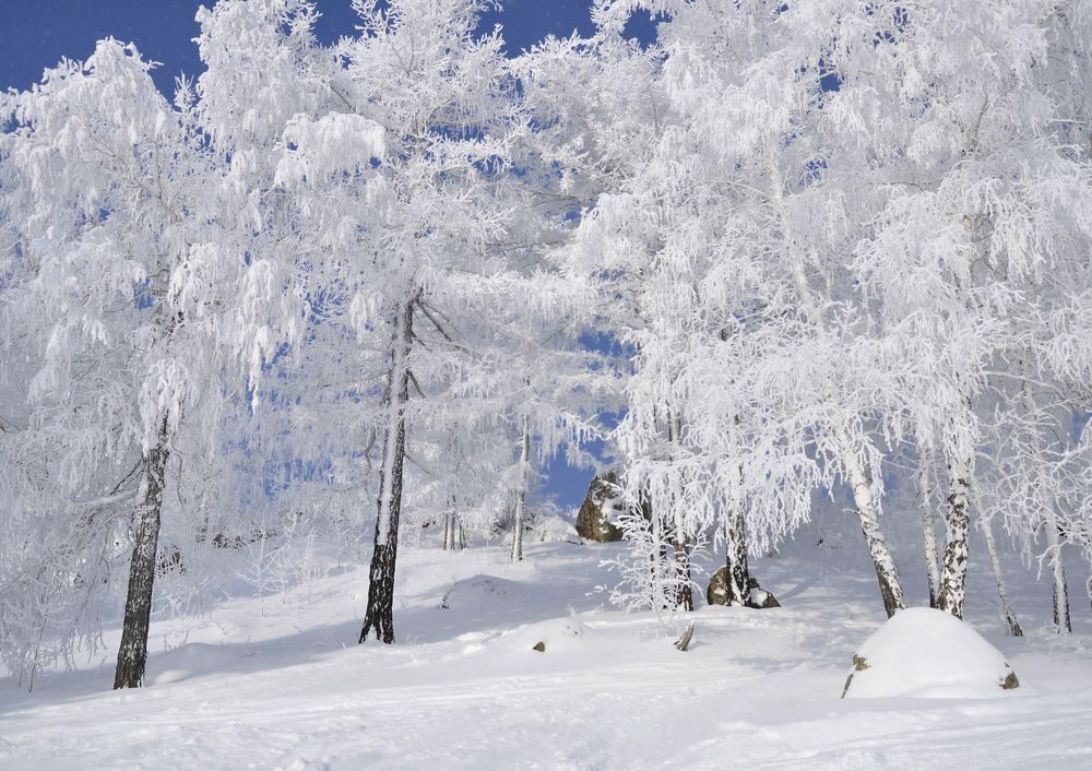 Зимнее спокойствие