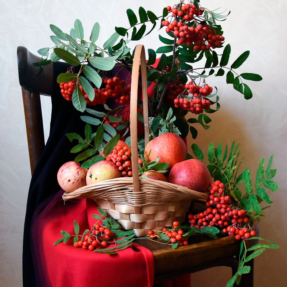 Моя красная осень