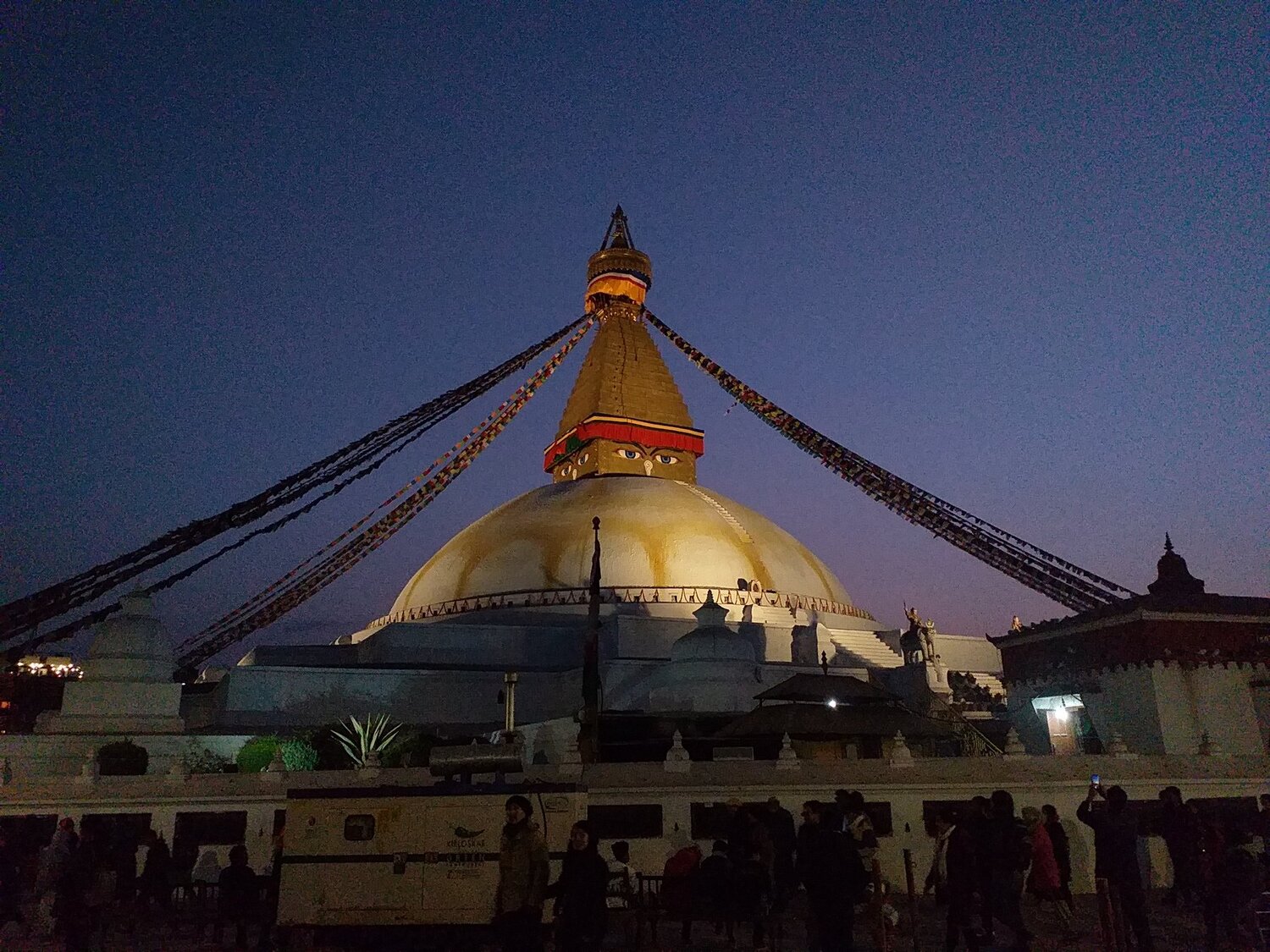 Photo #2946637
