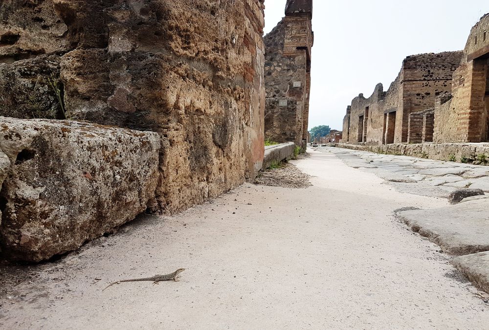 Покинутый город