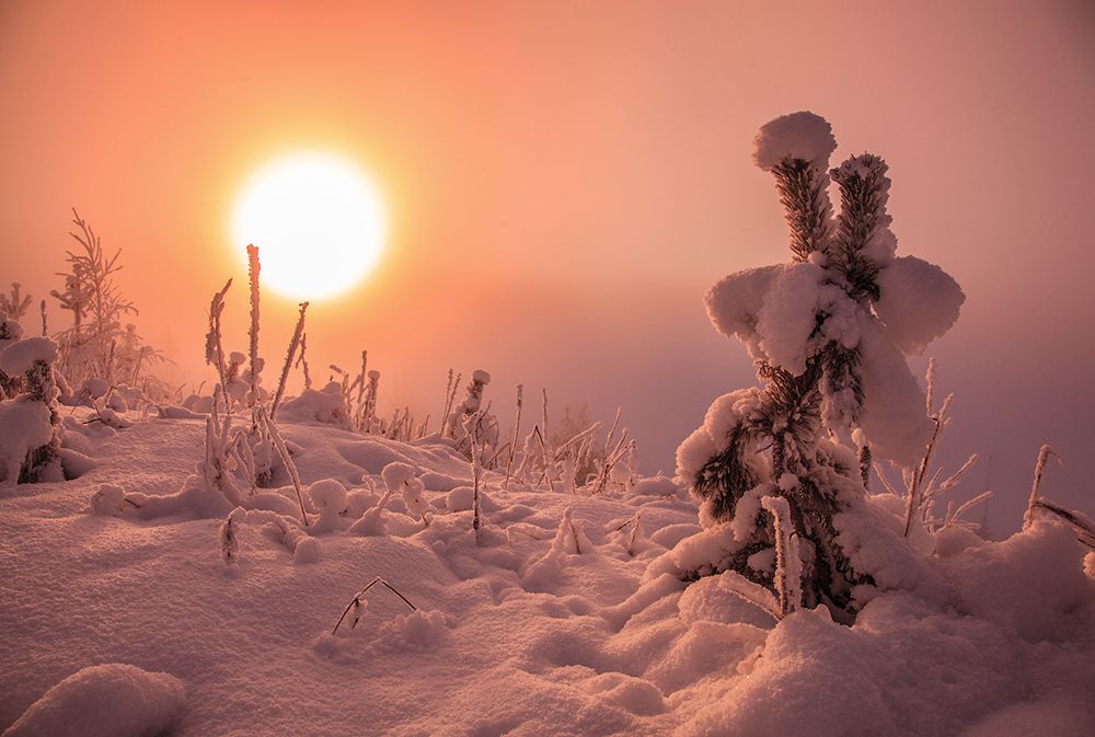 Холодное солнце Скандинавии