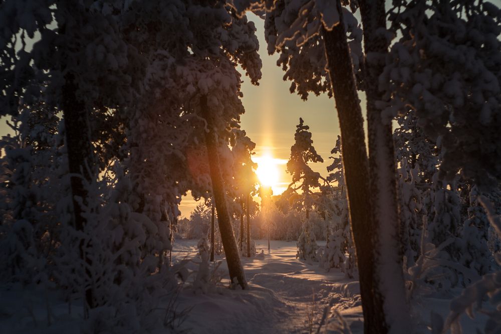 МОРОЗ И СОЛНЦЕ