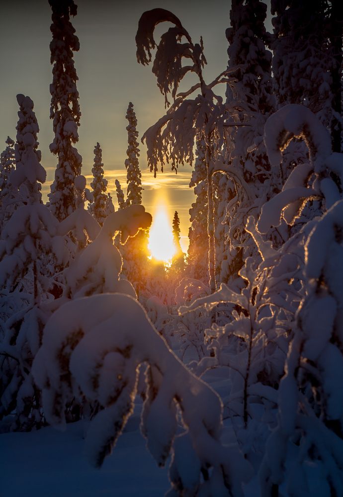 МОРОЗ И СОЛНЦЕ
