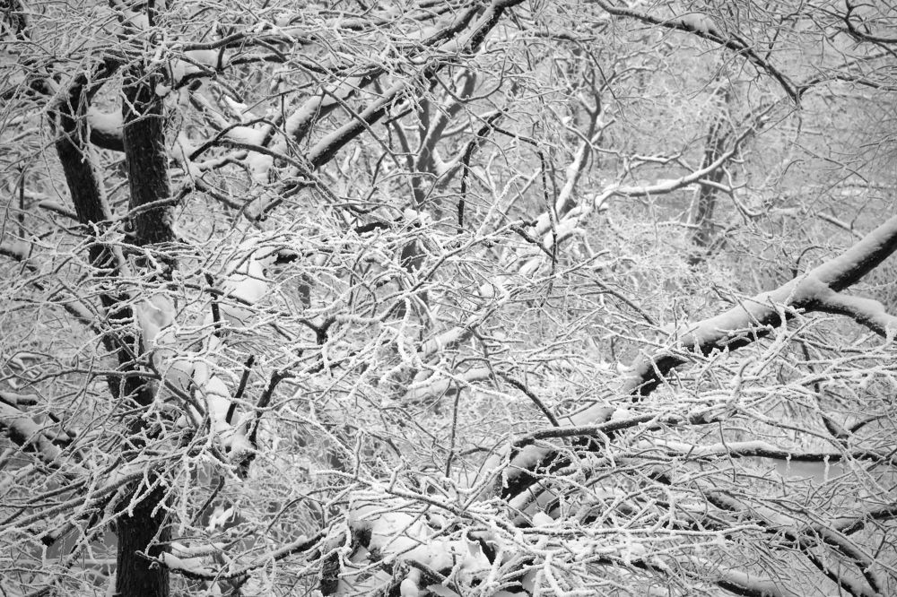 Космос зимнего спокойствия в графическом исполнении