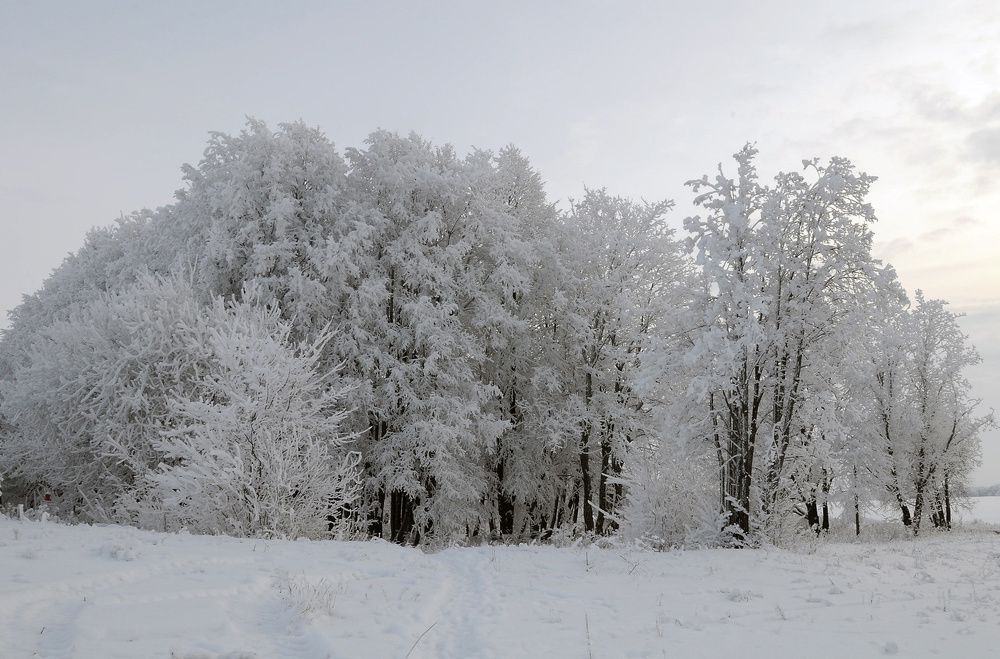 Зимний наряд