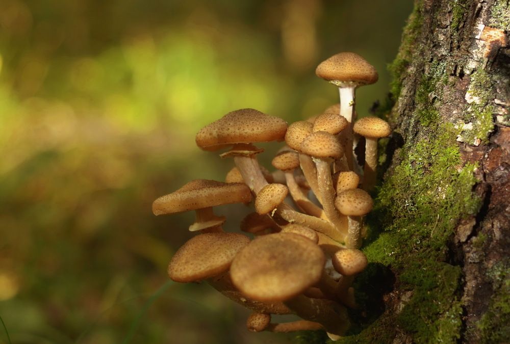 Photograph by Сергей Клапишевский