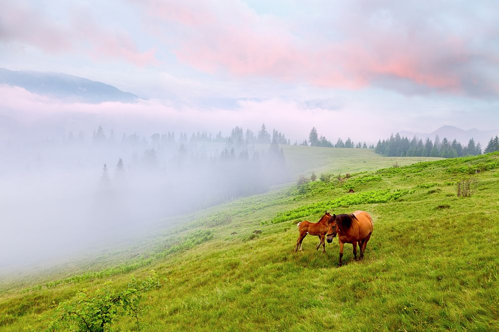 Photograph by Юлия Рублевская