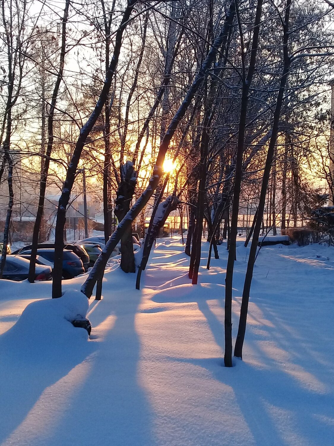 Рассвет в городе