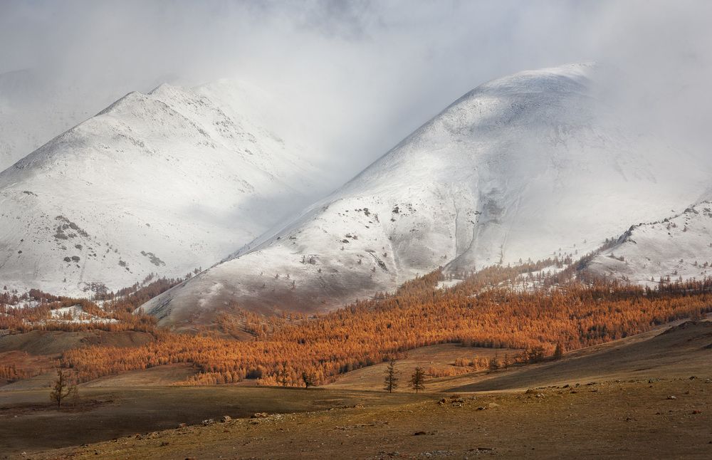 Первый снег