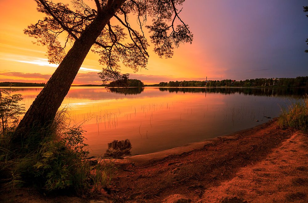 Летним вечером