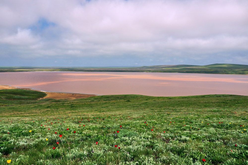 Каяшское розовое озеро