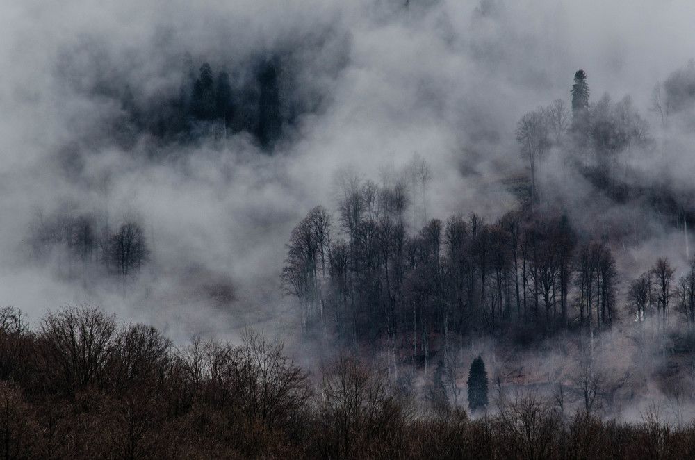 Туманы Красной Поляны, Сочи