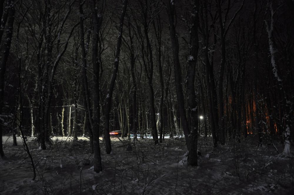 Зимняя дорога