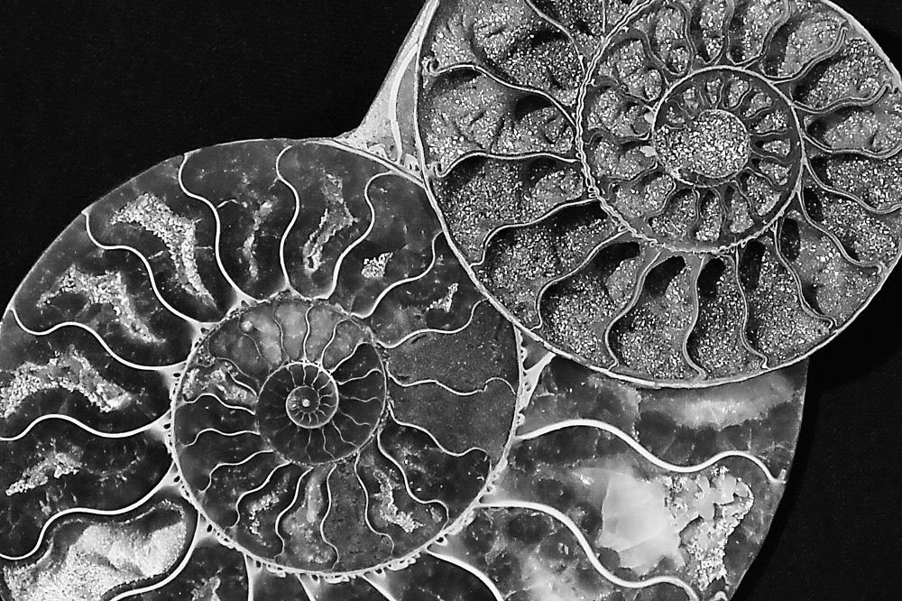 Природная симметрия