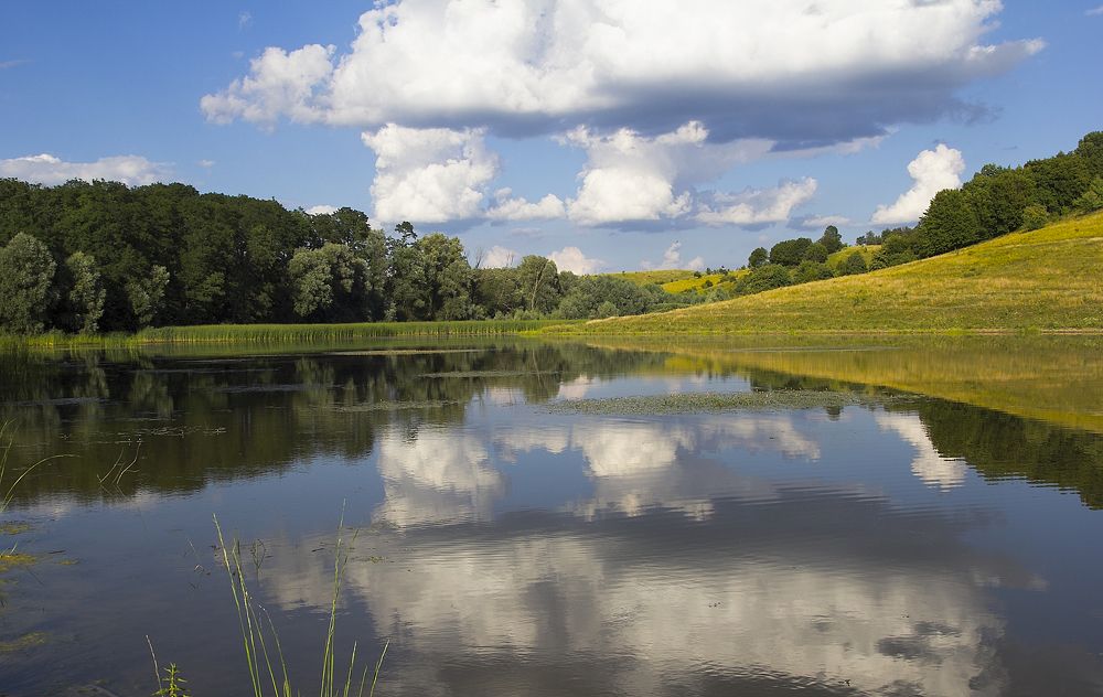 Краски лета