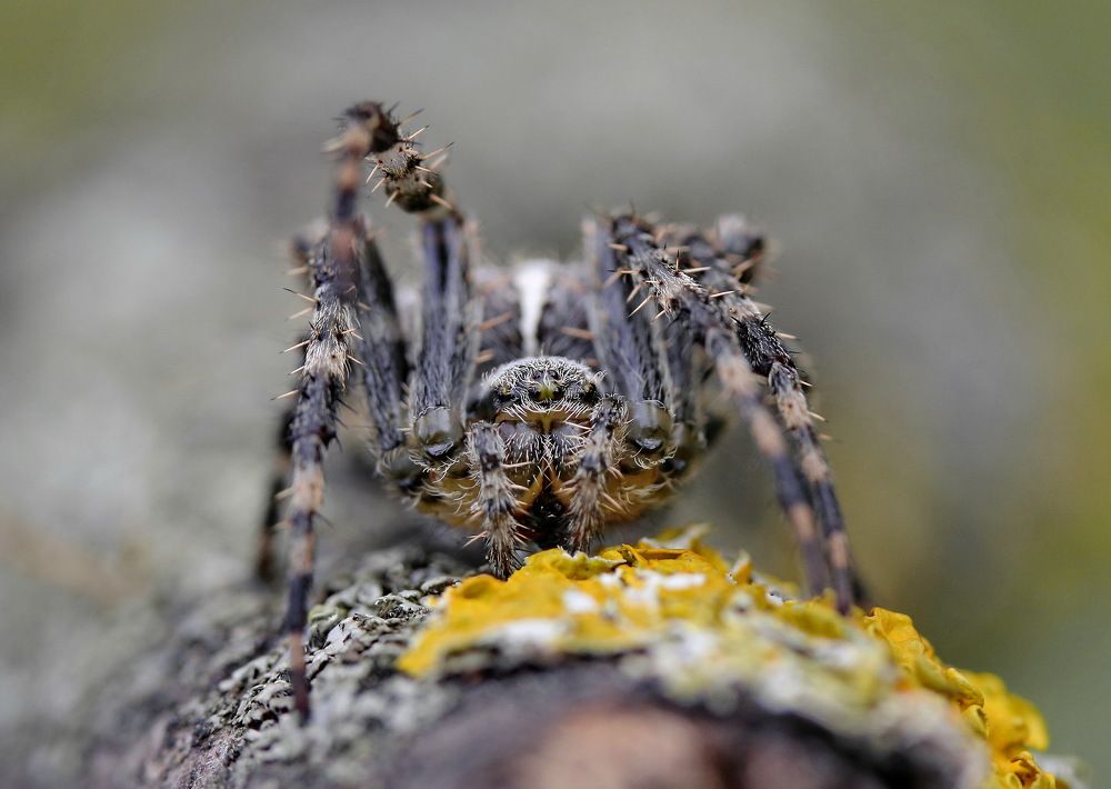 Photograph by Игорь Осипов