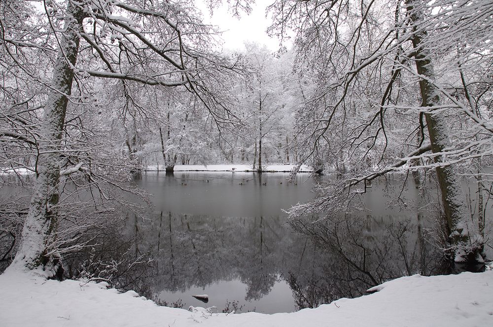 Озеро Бурбах ФРГ