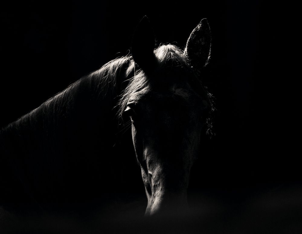 Что в имени тебе моем?