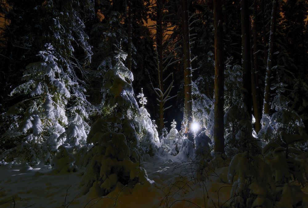 "Двенадцать месяцев"