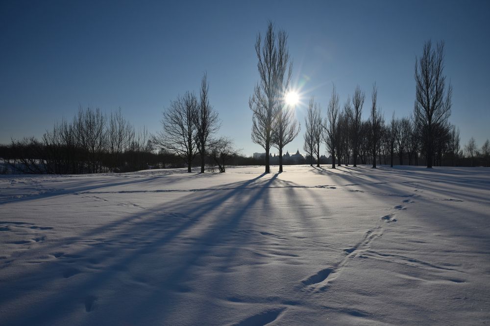 ЗИМУШКА-ЗИМА