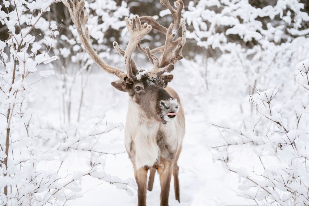Photograph by Алеся Прокопьева
