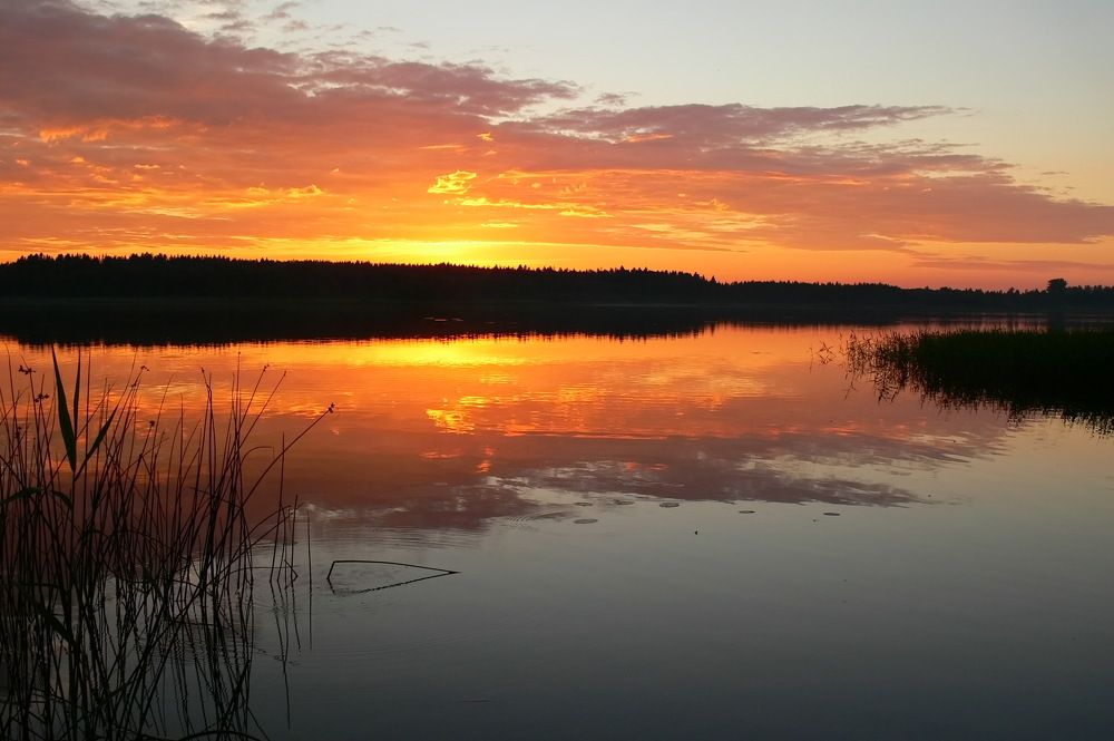 Летний вечер на озере.