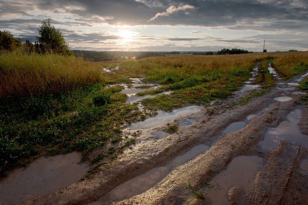После дождя