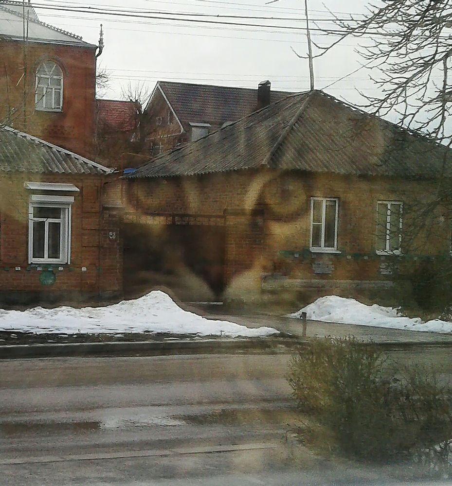 Кот-призрак