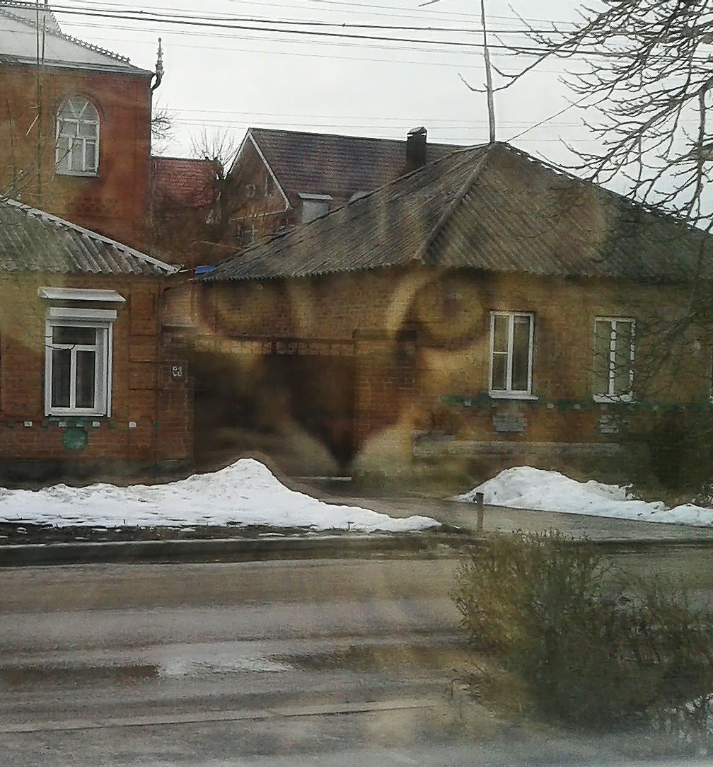 Кот-призрак