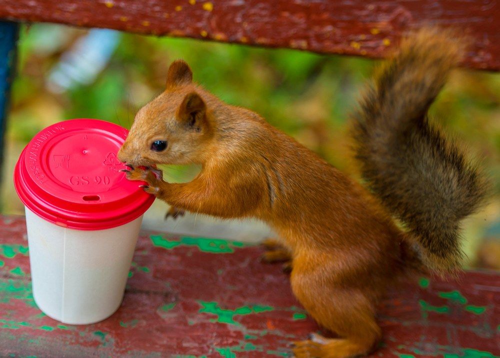 Photograph by Марина Тарасова