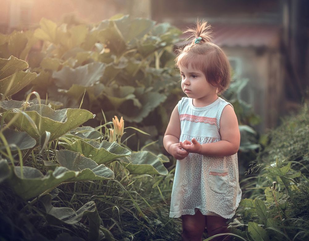 Лето в деревне