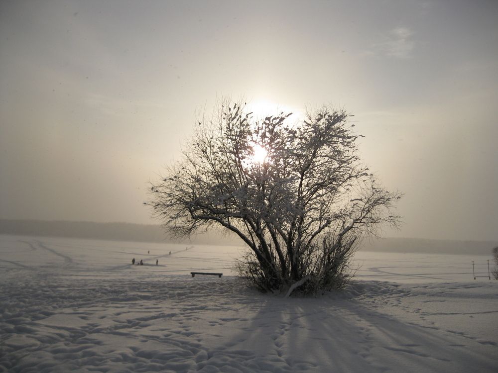 Photograph by Светлана Капитонова