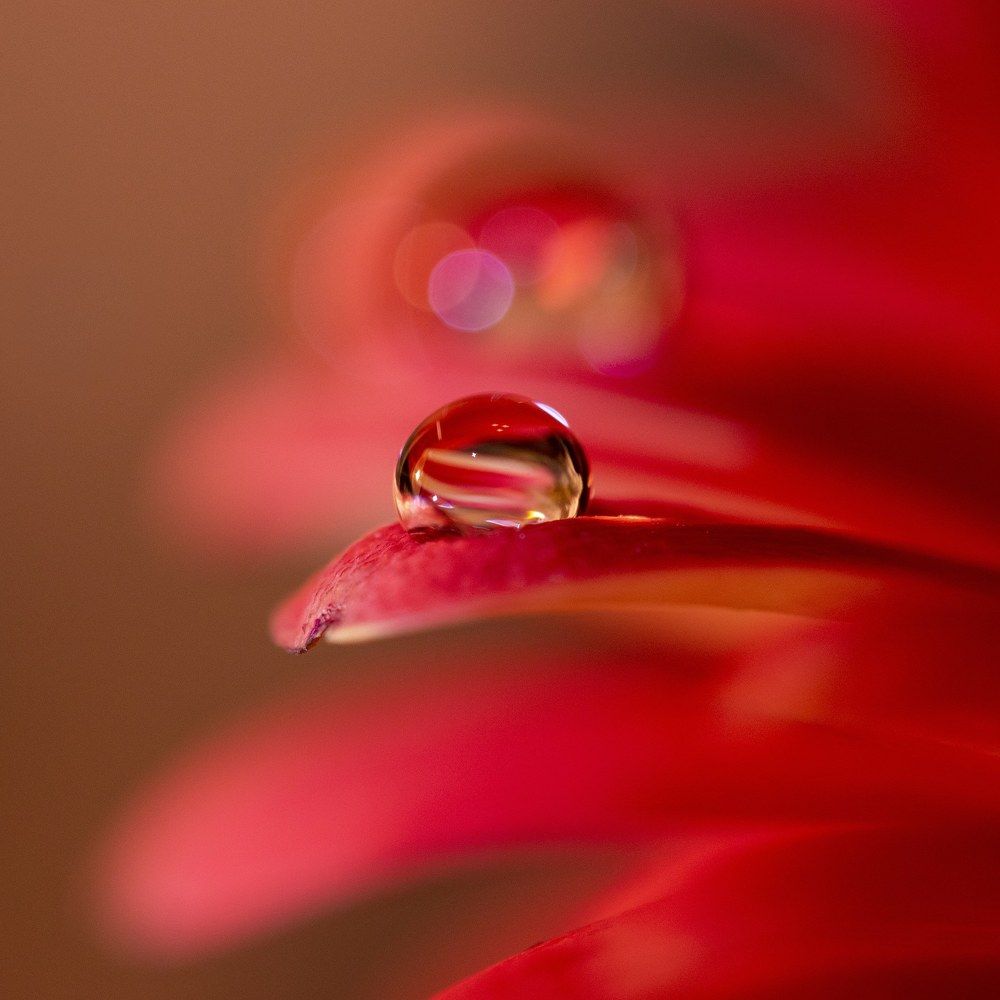Little drop