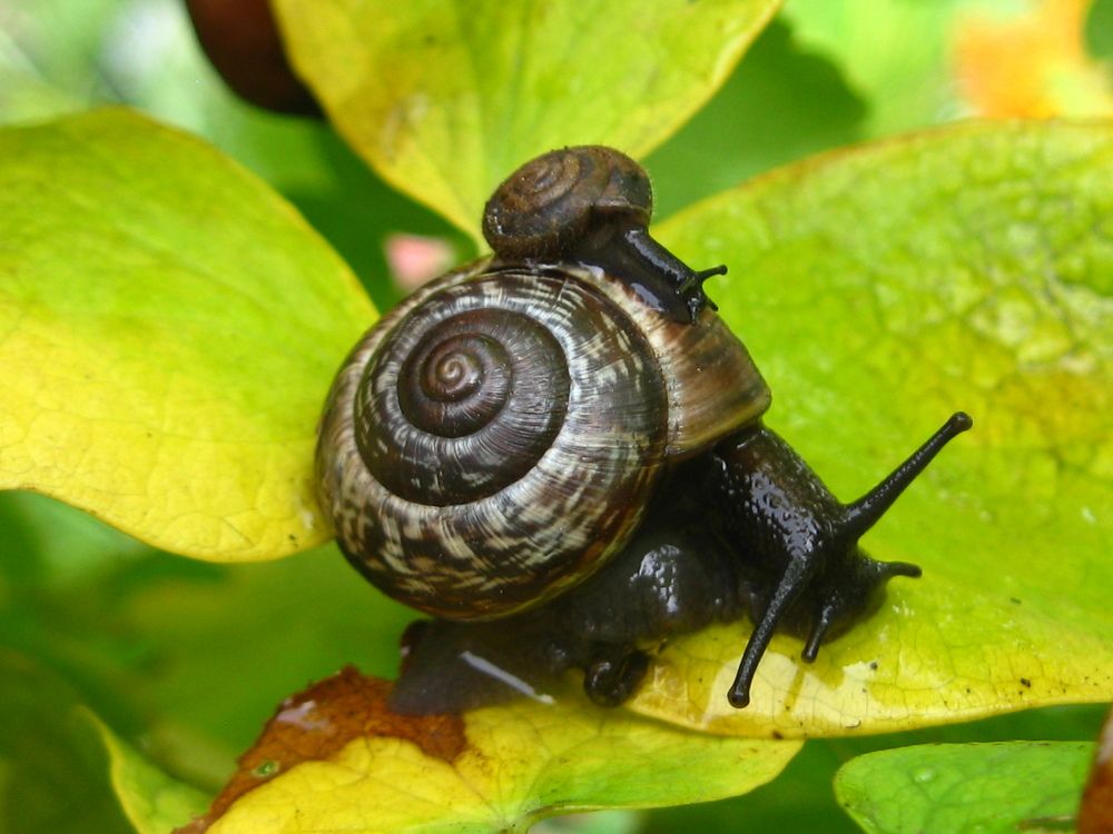 Photograph by Светлана Капитонова